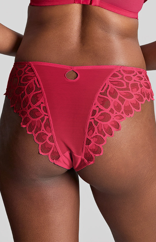 Panache Allure Brief - Fashion Colours