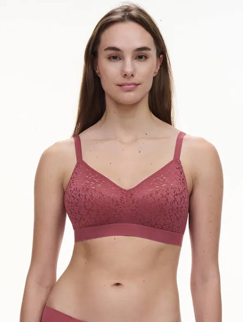 Chantelle Norah Wireless Smooth Lace Bra - Fashion Colours C13F80