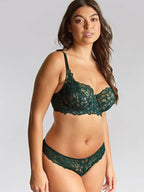 Panache Allure Thong - Fashion Colours