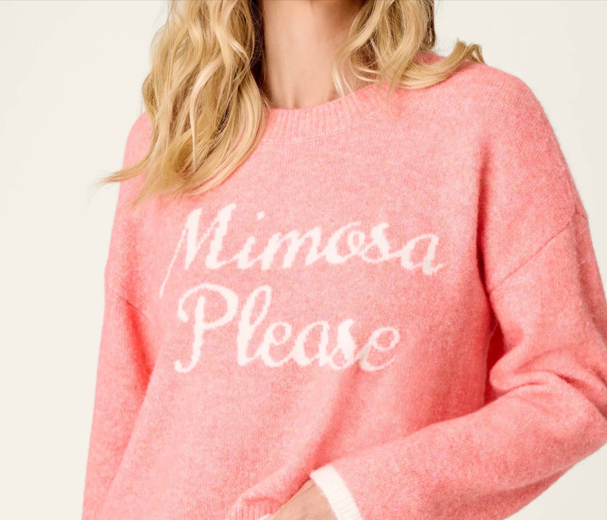 PJ Salvage Cozy Sweater