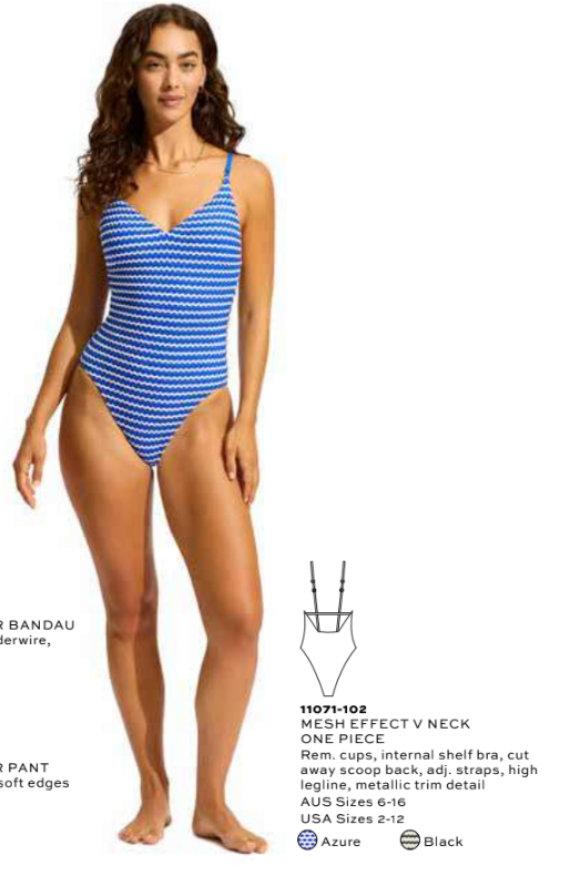 Seafolly Mesh Effect V neck One piece