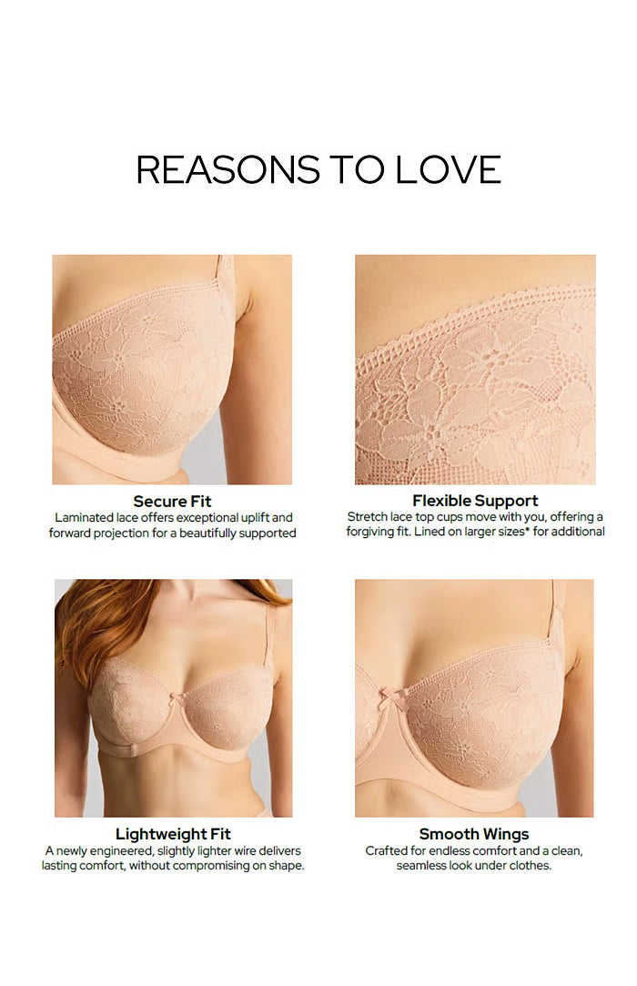 Panache Celeste