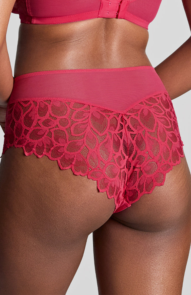 Panache Allure High Waist Brief - Fashion Colours