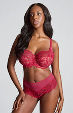 Panache Allure High Waist Brief - Fashion Colours